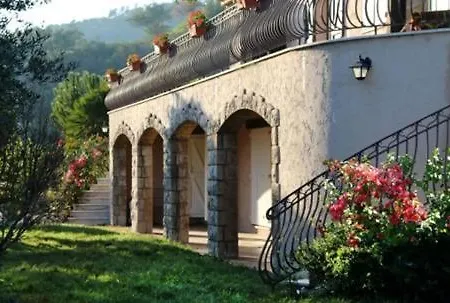 Vue *